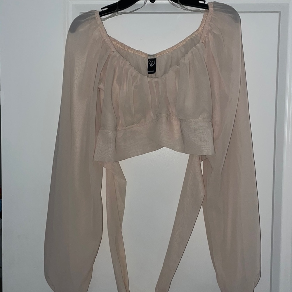 Pinkish Nude Long Sleeve NWT Windsor Crop Top